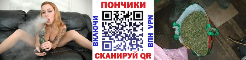 Каннабис планчик  Купить закладки  Юрга 